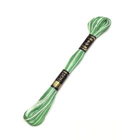Anchor Muline 1213 Nakış İpliği