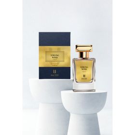 And You Strong Wind 65 ml Unisex Parfüm