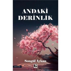 Andaki Derinlik Songül Aykan