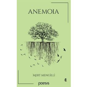 Anemoia - Mert Mengilli