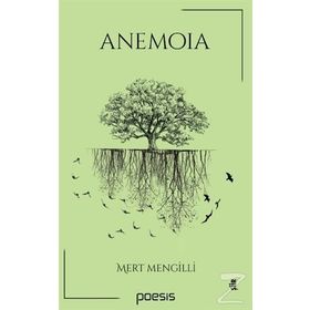 Anemoia - Mert Mengilli