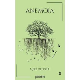 Anemoia - Mert Mengilli