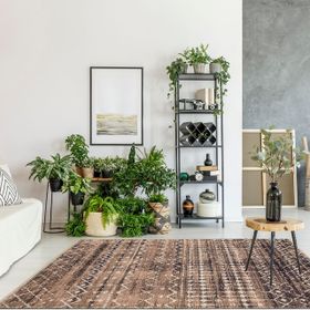 Angorahome 4022 Vega Dekoratif Yeni Nesil 120x180 cm Salon Halı