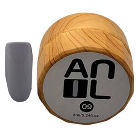 Anil Professional Cosmetics Paint Jel 09 10 ml Ahşap Kutu Kalıcı Oje