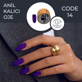 Anil Professional Cosmetics Paint Jel 14 10 ml Ahşap Kutu Kalıcı Oje