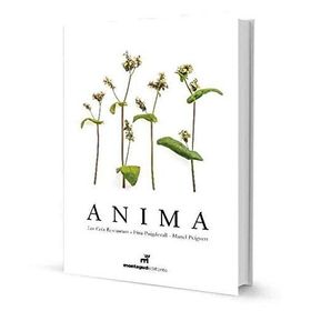 Anima - Mehmet Kaan Alpaslan