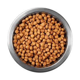 Animal World Sterilised Somonlu Kısırlaştırılmış 1 kg Açık Kedi Mama