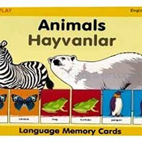 Animals - Hayvanlar Kutulu - kollektif