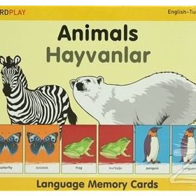 Animals - Hayvanlar Kutulu - kollektif