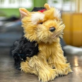 Animals Of The World 28 cm Floppy Yorkshire Terrier Peluş Oyuncak