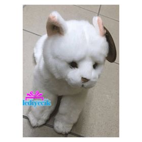Animals Of The World Floppy Van Kedisi 32 cm Peluş Oyuncak