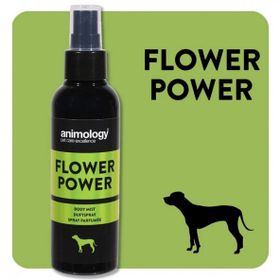 Animology 150 ml Flower Power Fragrance Mist Köpek Parfümü