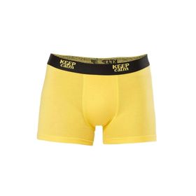 Anıt 1266 Sarı Modal Erkek Boxer