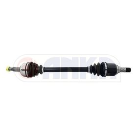 Anka 10101021 Renault Kango Kango III 08- 1.5DCI 6 Vites Komple Sol Aks