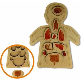 Ankebut 30756 Renkli Organlar Yapboz Puzzle