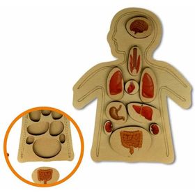 Ankebut 30756 Renkli Organlar Yapboz Puzzle