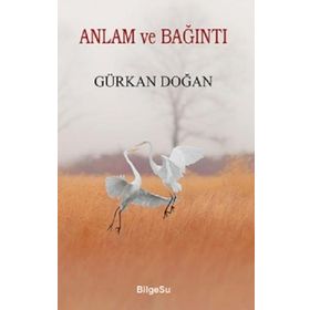 Anlam ve Bağıntı - Gürkan Doğan - Bilgesu Yayıncılık