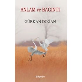 Anlam ve Bağıntı - Gürkan Doğan - Bilgesu Yayıncılık