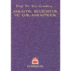 Anlama, Belirsizlik ve Çok-Anlamlılık - Teo Grünberg