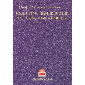 Anlama, Belirsizlik ve Çok-Anlamlılık - Teo Grünberg