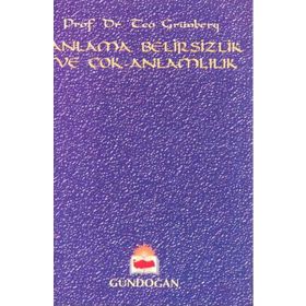 Anlama, Belirsizlik ve Çok-Anlamlılık - Teo Grünberg