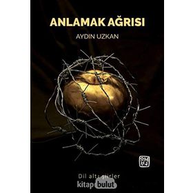 Anlamak Ağrısı - Aydın Uzkan - Kutlu Yayınevi