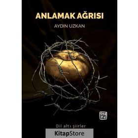 Anlamak Ağrısı - Aydın Uzkan