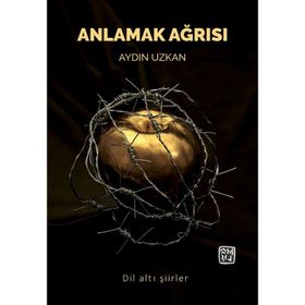Anlamak Ağrısı - Aydın Uzkan