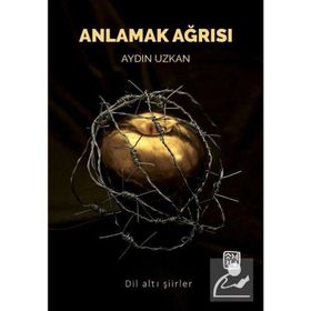 Anlamak Ağrısı - Aydın Uzkan
