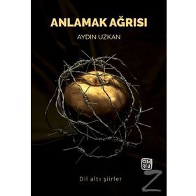 Anlamak Ağrısı - Aydın Uzkan