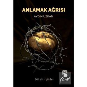 Anlamak Ağrısı - Aydın Uzkan