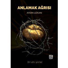 Anlamak Ağrısı - Aydın Uzkan