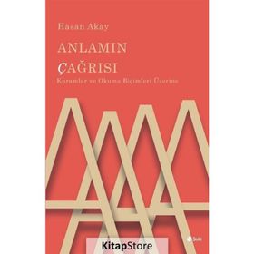 Anlamın Çağrısı - Hasan Akay