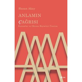 Anlamın Çağrısı - Hasan Akay