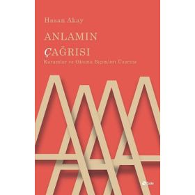 Anlamın Çağrısı - Hasan Akay