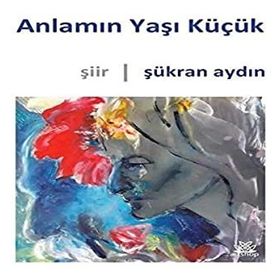 Anlamın Yaşı Küçük - Şükran Aydın