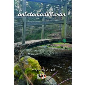 Anlatamadıklarım - Tuğba Erlik