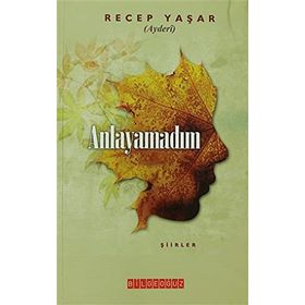 Anlayamadım: Şiirler - Recep Yaşar