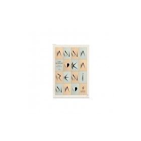 ANNA KARENINA (1. CILT) - LEV NİKOLAYEVİÇ TOLSTOY