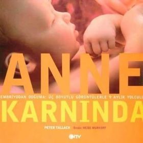 Anne Karnında - Peter Tallack