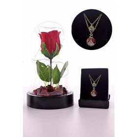 Anneler Gününe Özel Fanusta Led Işıklı Kırmızı Gül ve Uğur Böceği Kolye Seti