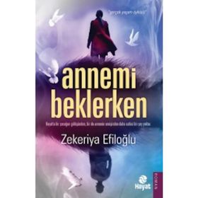Annemi Beklerken - Zekeriya Efiloğlu