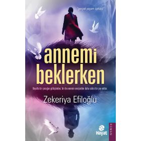 Annemi Beklerken - Zekeriya Efiloğlu
