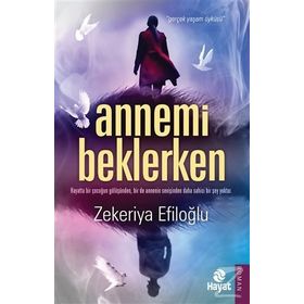 Annemi Beklerken - Zekeriya Efiloğlu