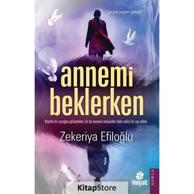 Annemi Beklerken - Zekeriya Efiloğlu