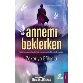 Annemi Beklerken - Zekeriya Efiloğlu