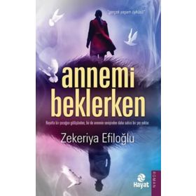 Annemi Beklerken - Zekeriya Efiloğlu