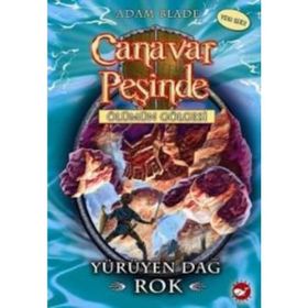Anormal Kitap - Erkan Sarıyıldız