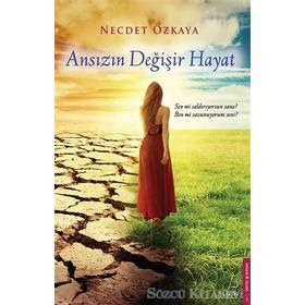 Ansızın Değişir Hayat - Necdet Özkaya