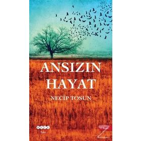 Ansızın Hayat - Necip Tosun